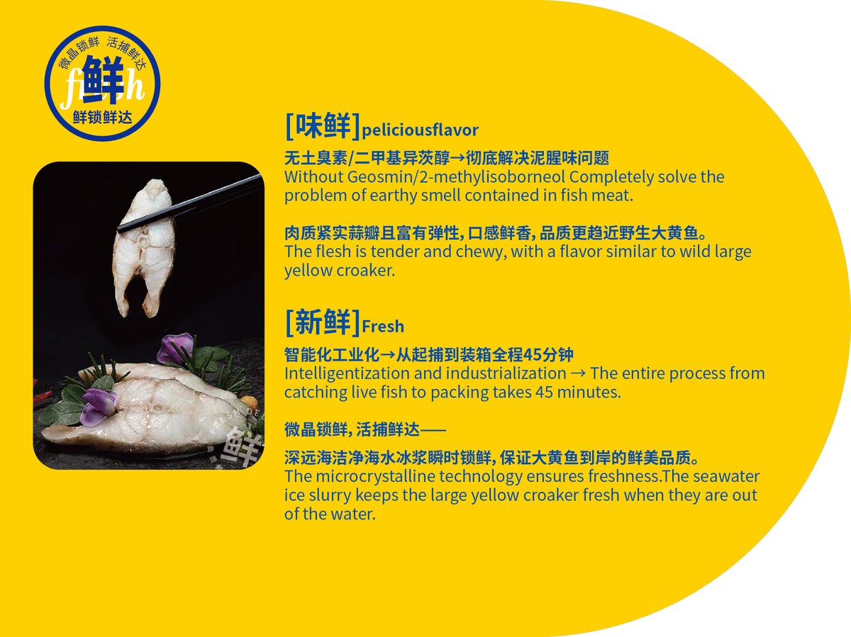 味鲜新鲜大黄鱼