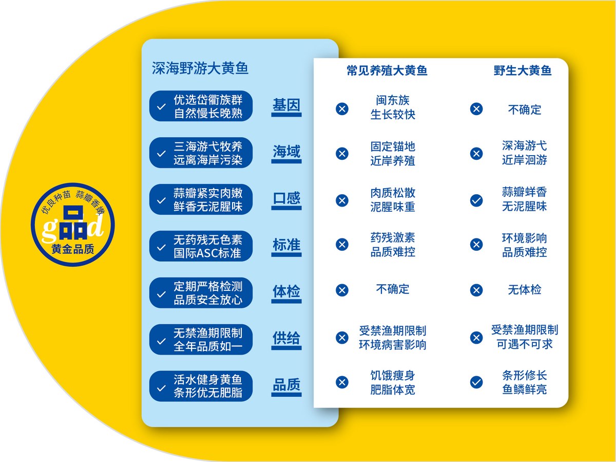 黄金品质大黄鱼